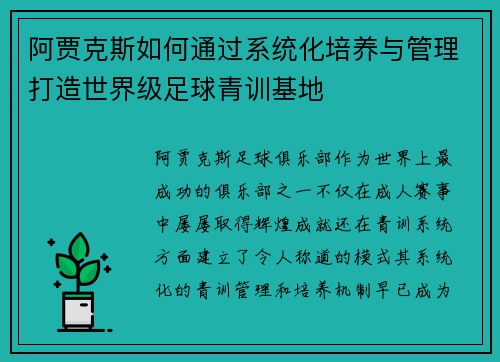阿贾克斯如何通过系统化培养与管理打造世界级足球青训基地