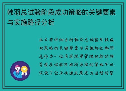 韩羽总试验阶段成功策略的关键要素与实施路径分析